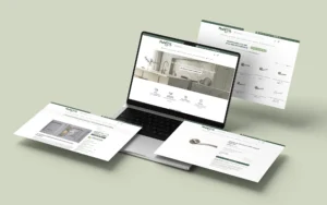 diseñor profesional de tienda online mas de 3000 productos MANISTIL valencia