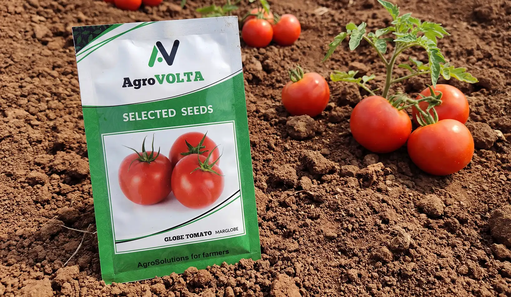 proyecto AGROVOLTA, diseño packaging etiquetas productos
