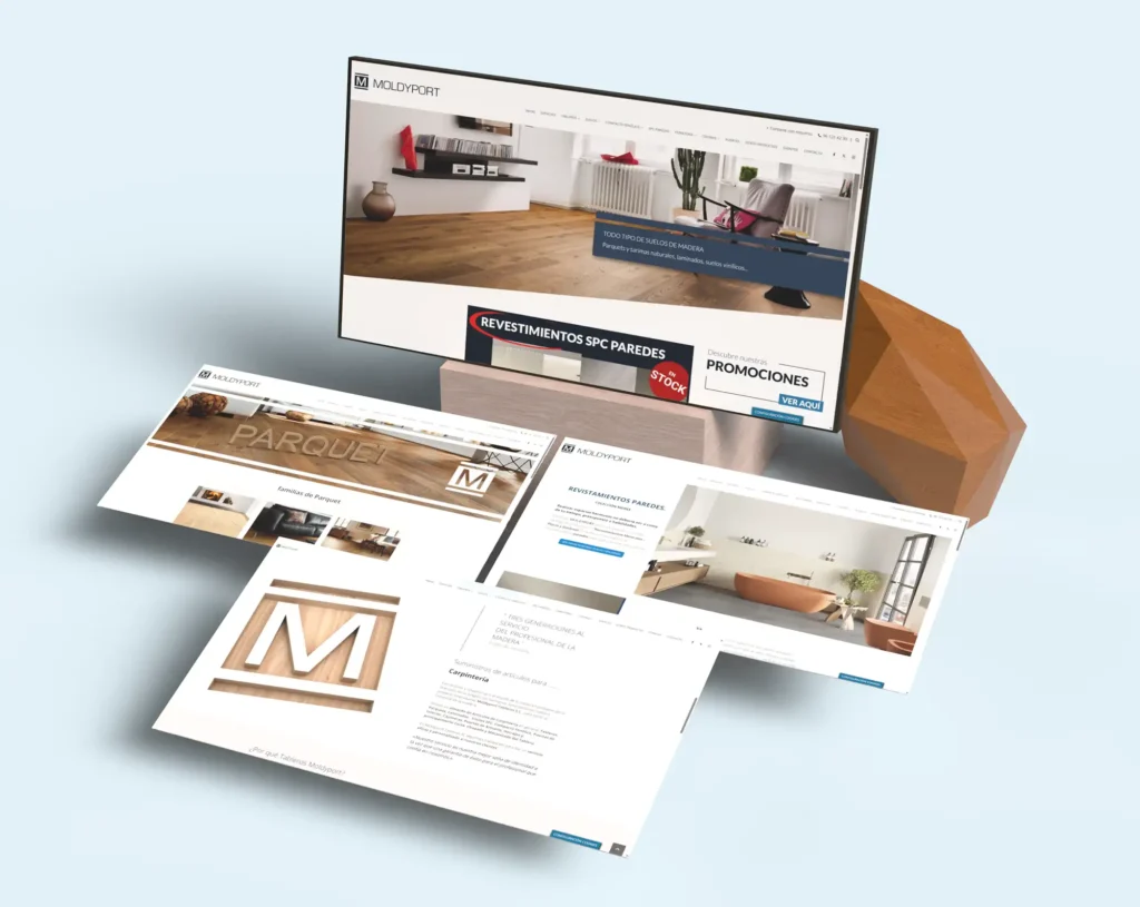 estudio profesional de diseño paginas web valencia desarrollo proyecto web MOLDYPORT